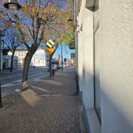 Lokal na wynajem