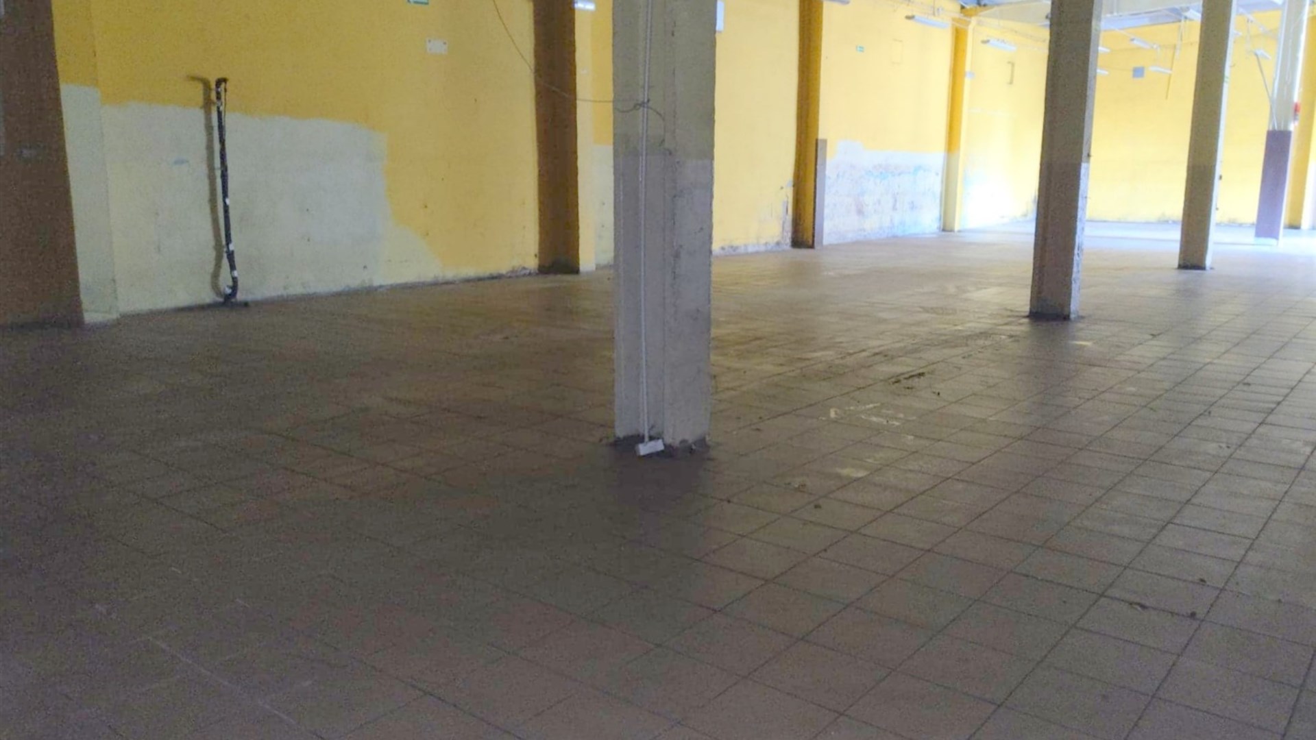 Lokal na wynajem